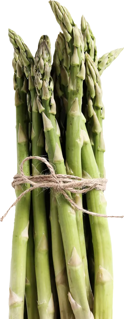 Grüner Spargel