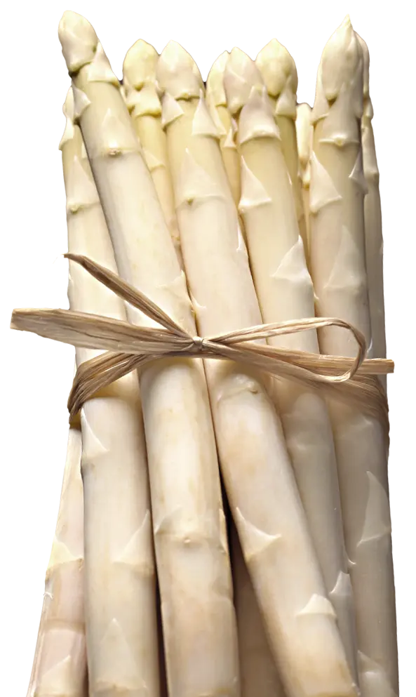 Weisser Spargel